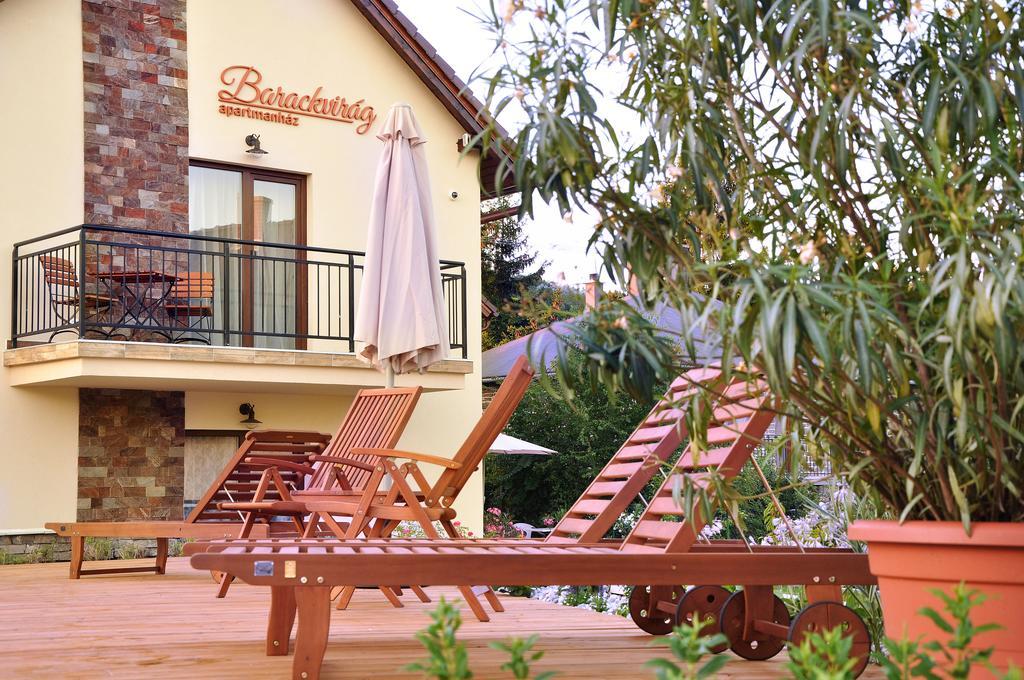 Barackvirag Apartmanhaz Tihany Exterior foto